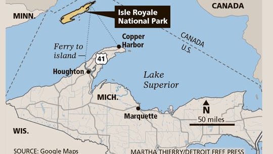 Only 3 Wolves Left On Michigan S Isle Royale