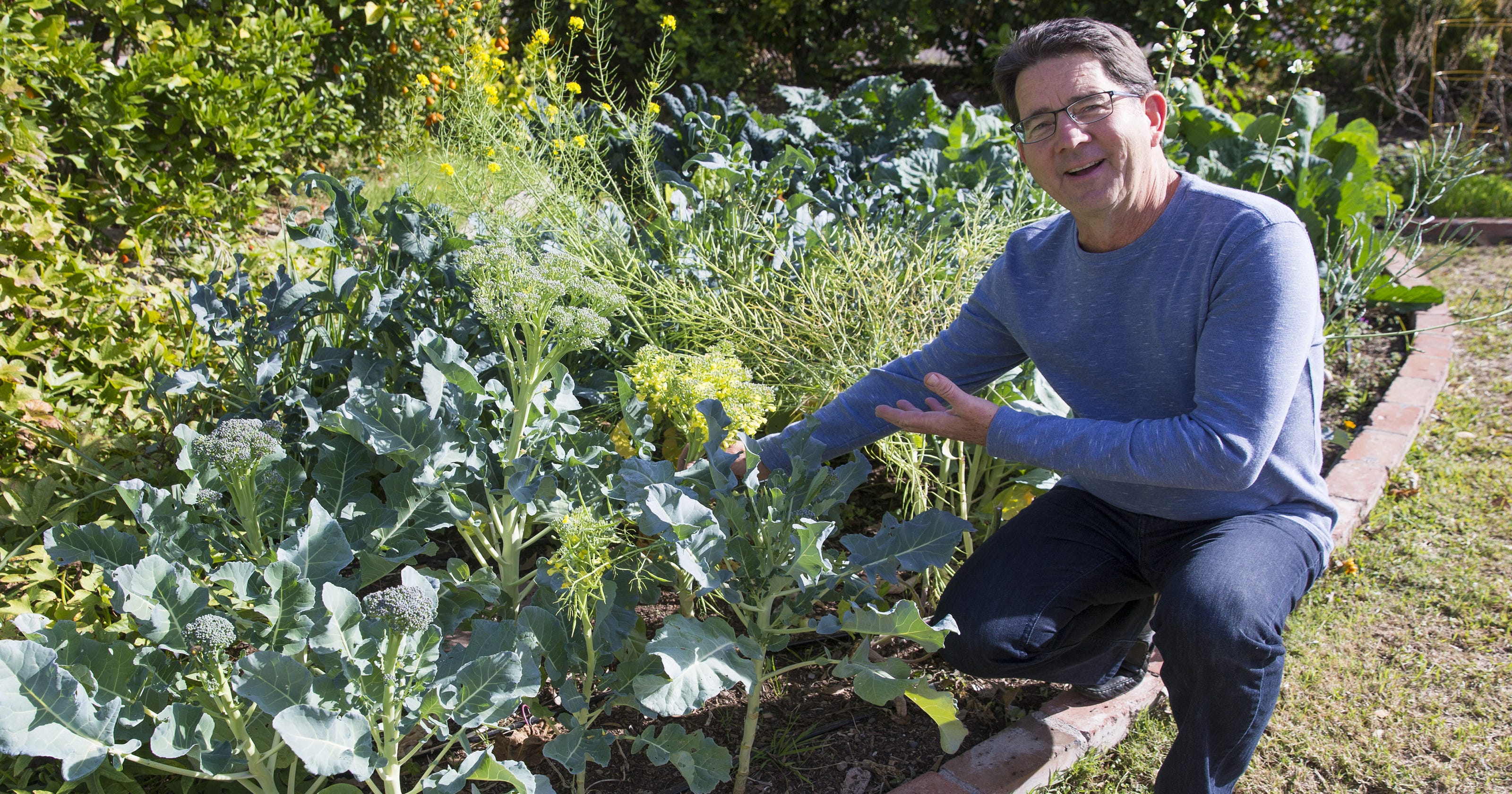 The Urban Farm in Phoenix teaches people how to grow their own food