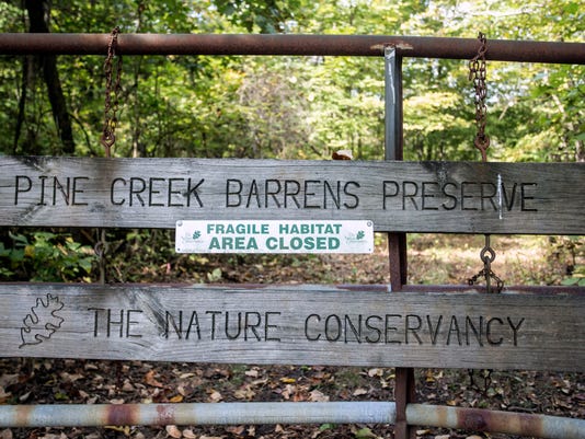 Nature Conservancy In Kentucky Opens Glade Cress Preserve To