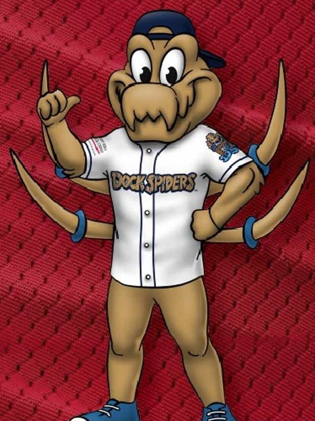 Fond Du Lac Dock Spiders Looking For Summer 2018 Interns