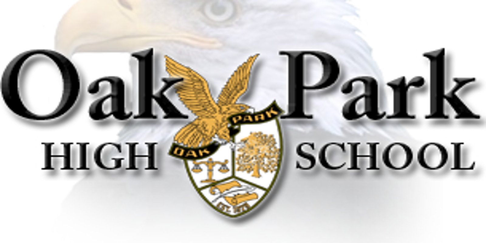 Oak Park Edges Edison In Overtime To Reach Division 1 Quarterfinals