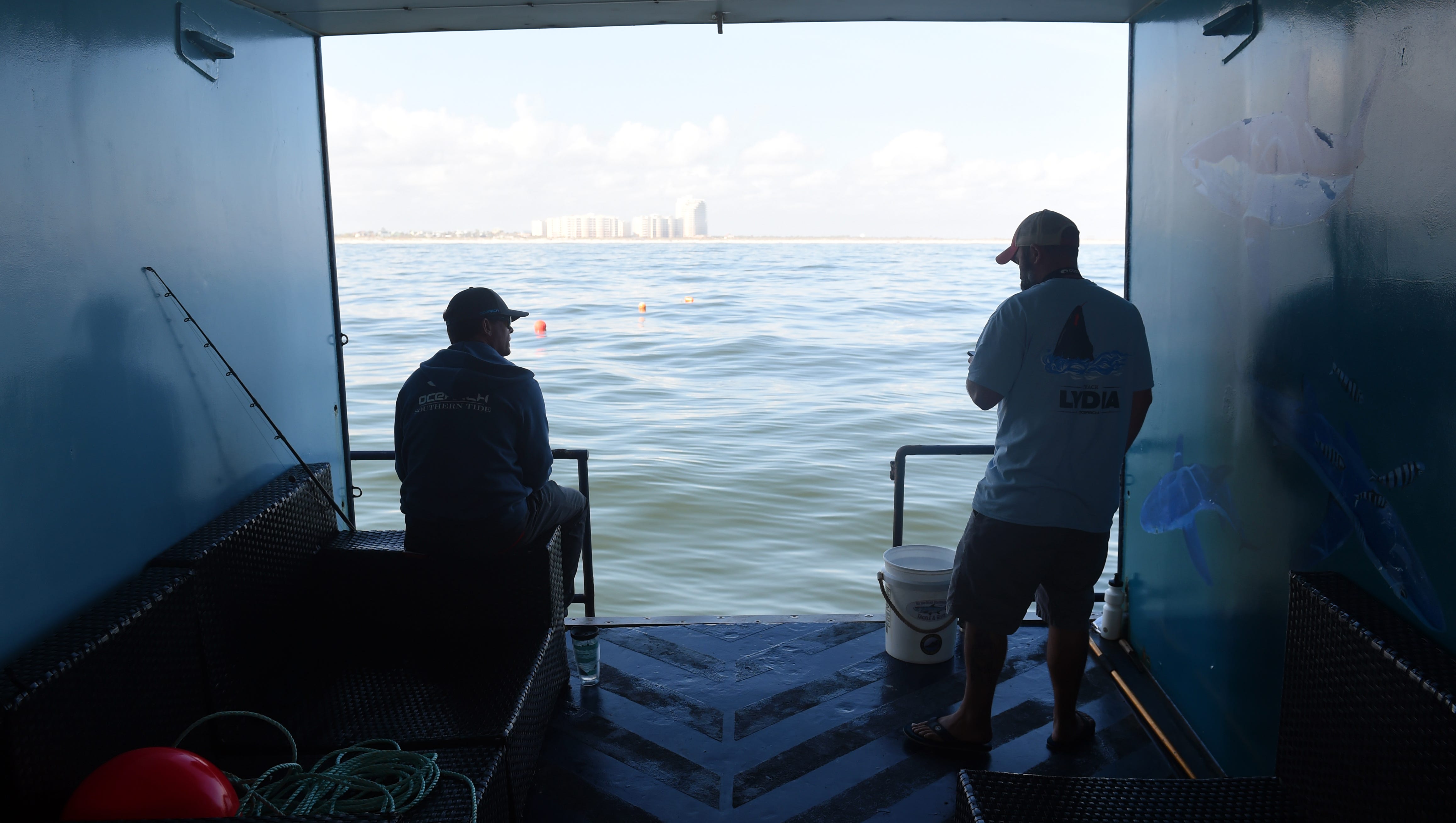 Great white shark extinction would upset balance of world's oceans