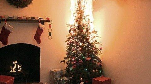 Dried-out Christmas trees can become engulfed in flames in a matter of seconds, according to the National Fire Protection Association.