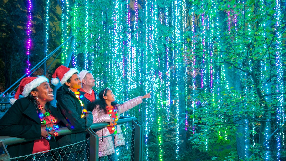 4 Georgia cities among best for ‘classic southern Christmas,’ says Southern Living 4 Georgia cities among best for ‘classic southern Christmas,’ says Southern Living