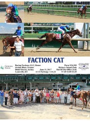 Racing Factions' first horse, Faction Cat, hasn't disappointed