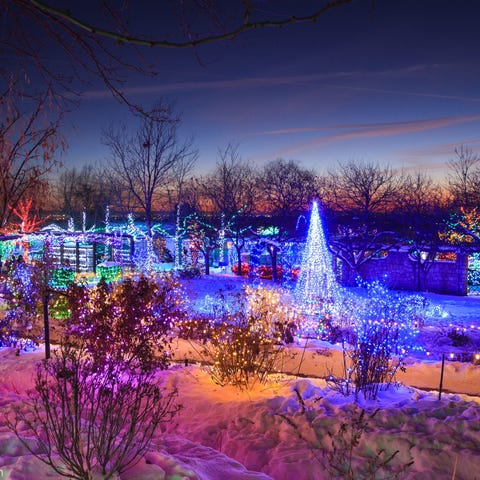 Lights take center stage at these botanical garden