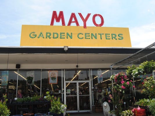 Mayo Garden Center Celebrating 140 Years As Oldest Business In