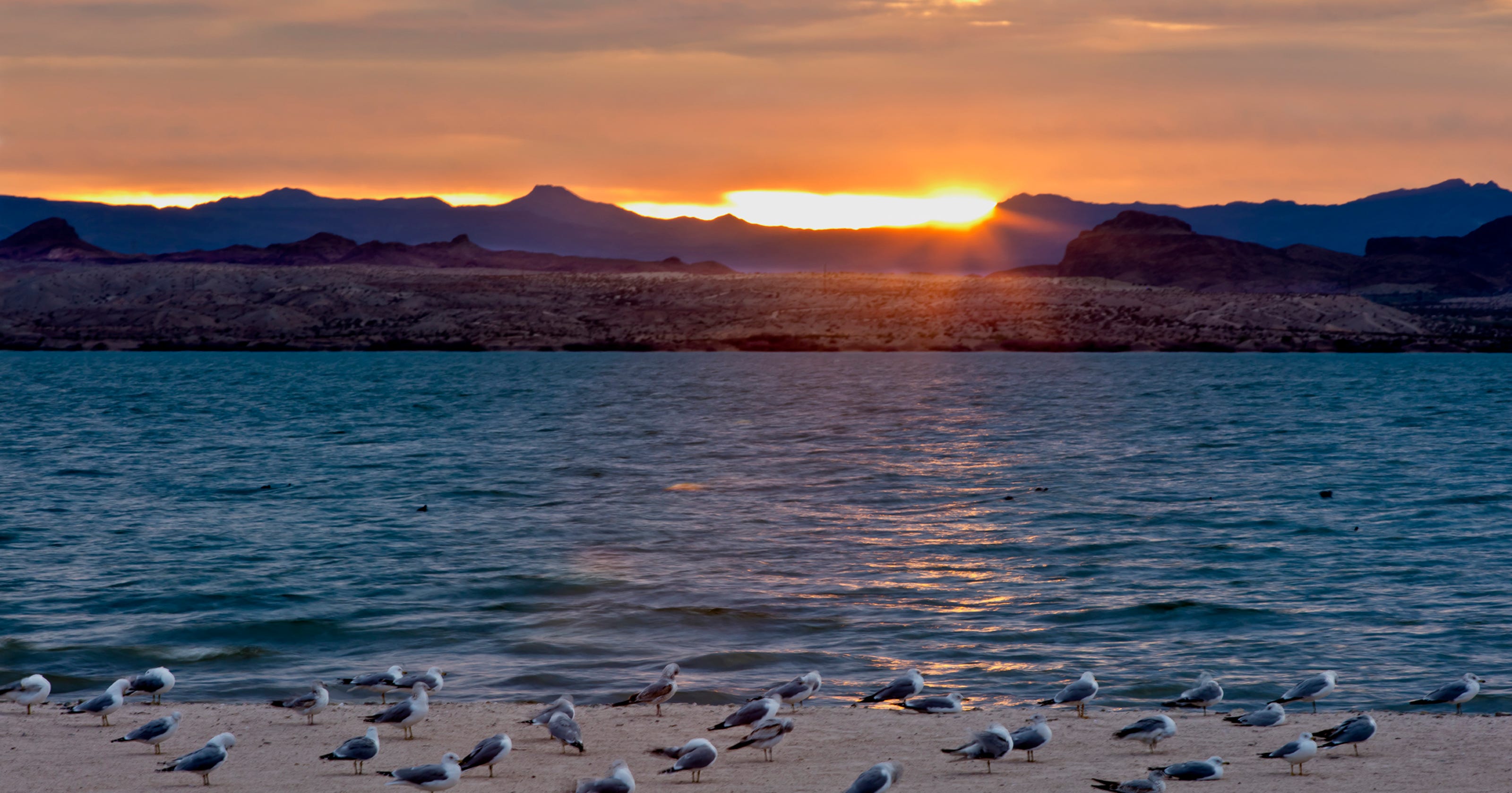 Hottest City In Arizona That D Be Lake Havasu City