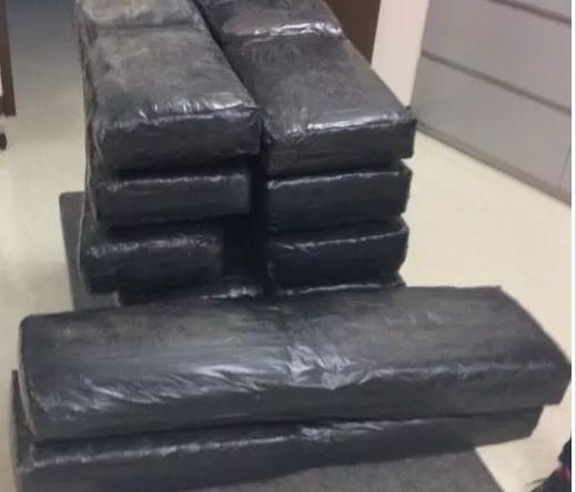 Packages of marijuana found in rail cars carrying Fords from Mexico to Michigan. Some 277 pounds of pot was found