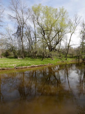 The Pigeon River reflects the trees at the  Ellwood H. May Environmental Park.