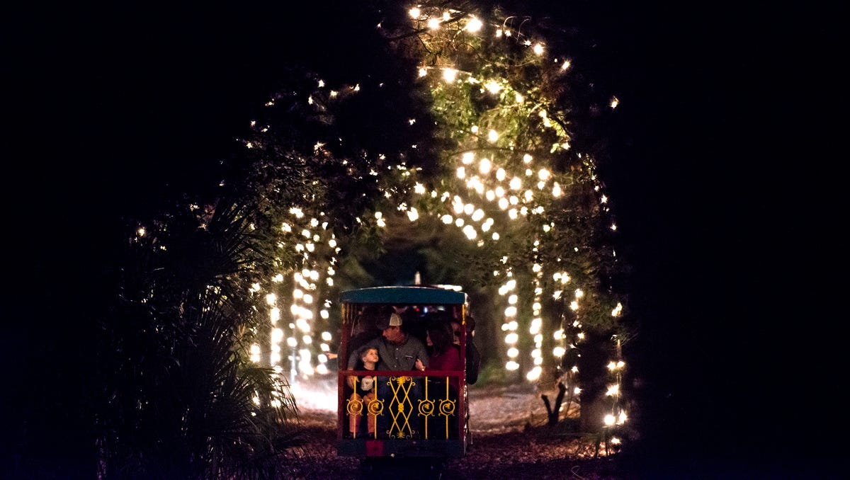 Montgomery Zoo Christmas Lights Festival