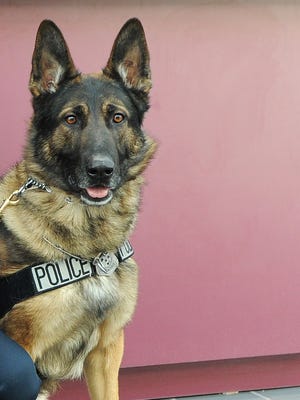 Fond du Lac Police Department K-9 Rony.