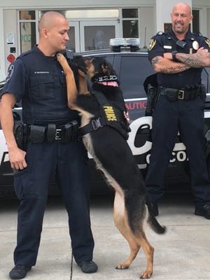 Kyra paws her trainer, Cocoa Police Officer Brian Delos Santos, as Lt. Tony Marchica watches.