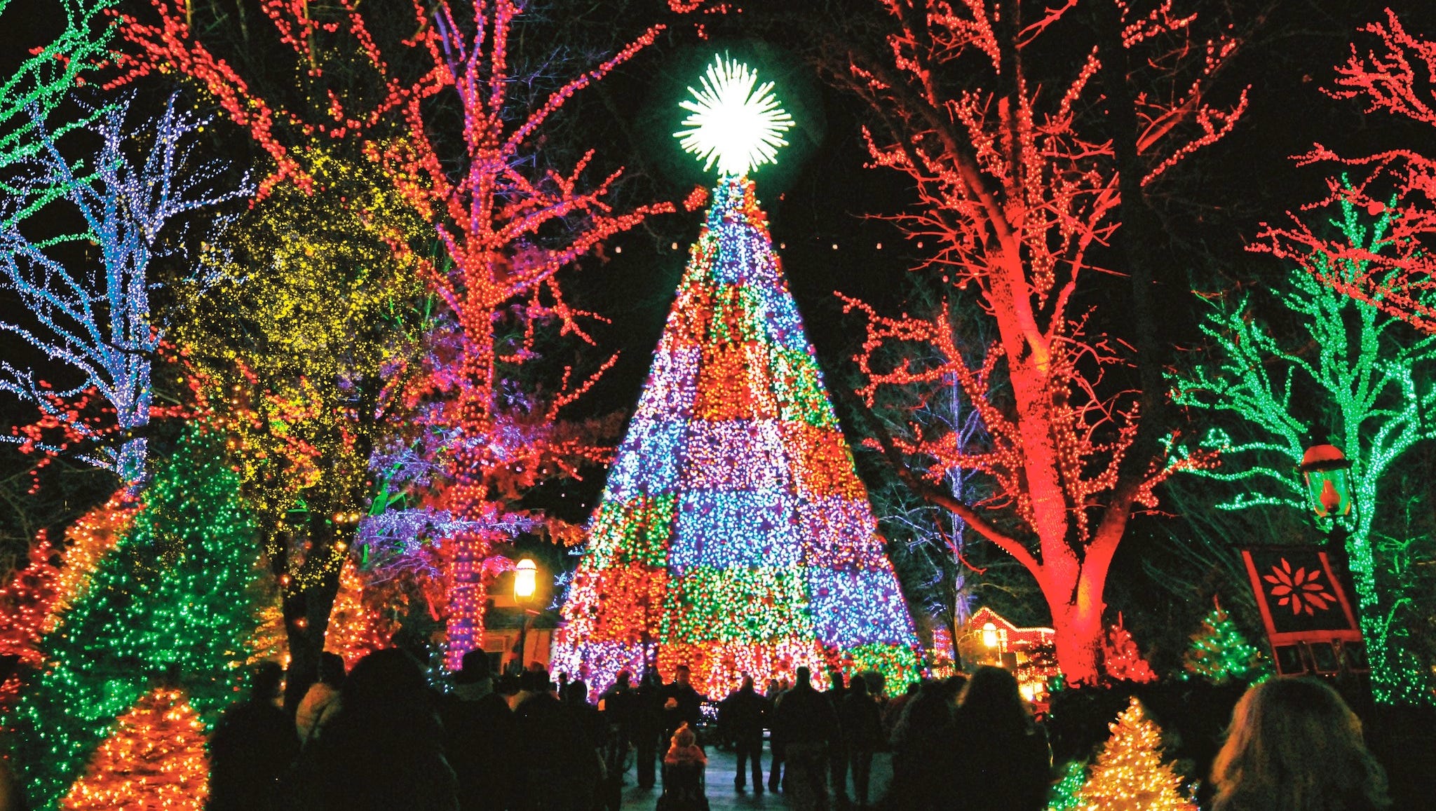 Vote For The Best Public Holiday Lights Display