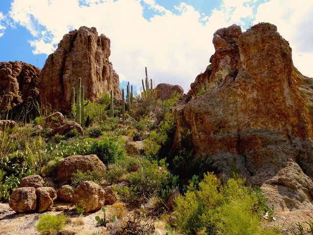 Superior Az An Easy Day Trip From Phoenix