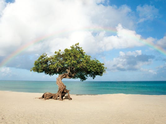 Beautiful Caribbean Photo Tours Of The Abc Islands