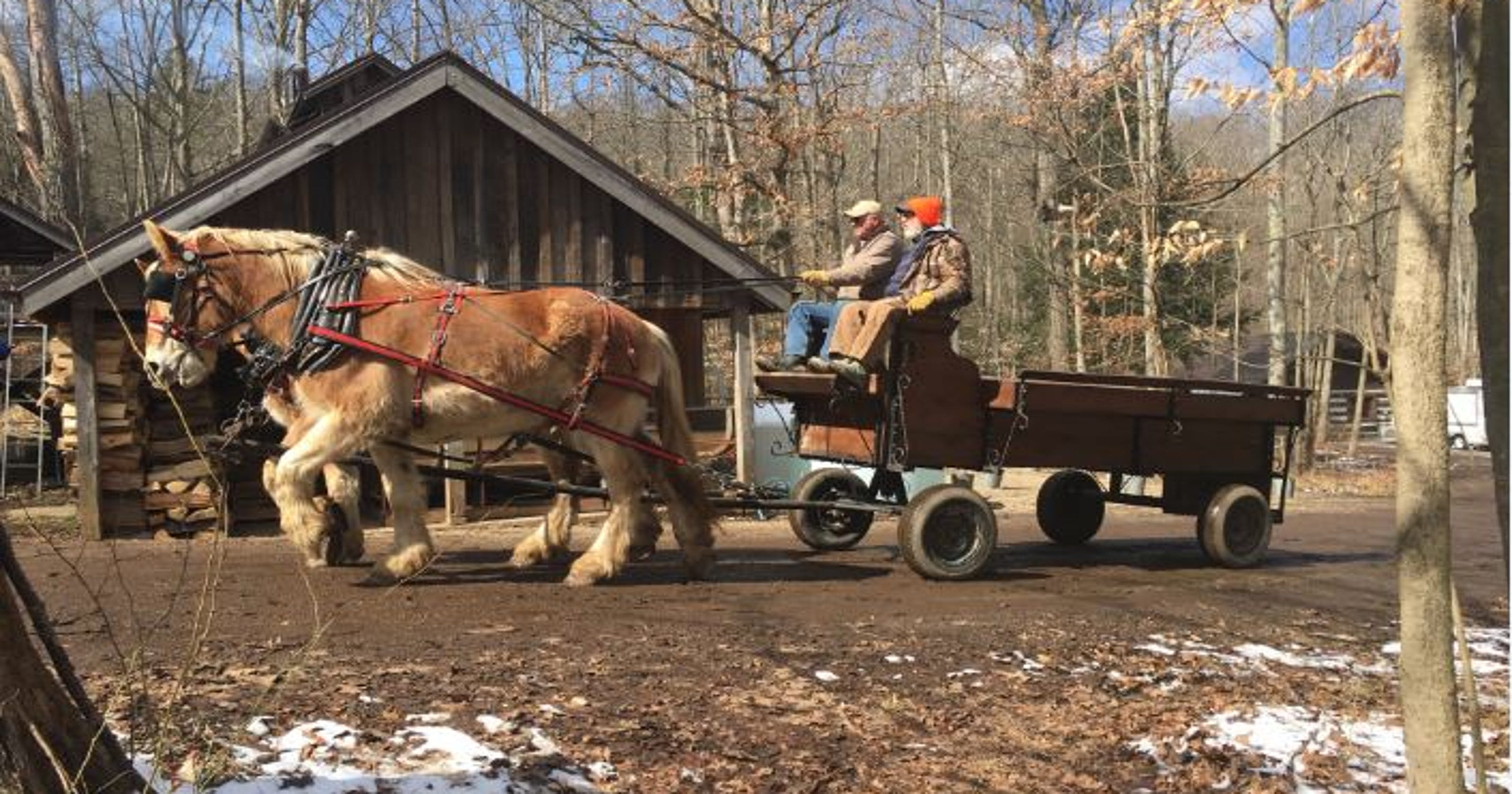 Visitors enjoy Malabar Farm State Park's Maple Syrup Festival