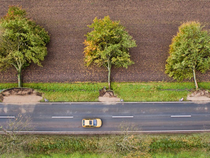 The aerial view shows three uprooted trees at a road