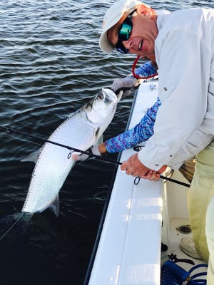 Skip Seamon of Connecticut celebrates one of several tarpon he caught and released in the Indian River Lagoon Monday while fishing with Capt. Brian Williamson of Vero Tackle and Marina.