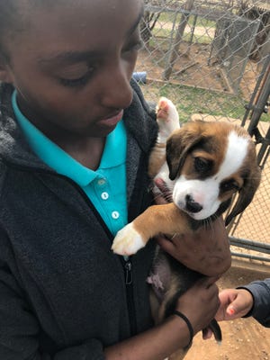 “Camp Fire’s Teens In Action are volunteering at the Humane Society. Aaliyah Johnson(Kirby) and Connor Higginbotham (Barwise) spent time loving and playing with the cats and dogs.”