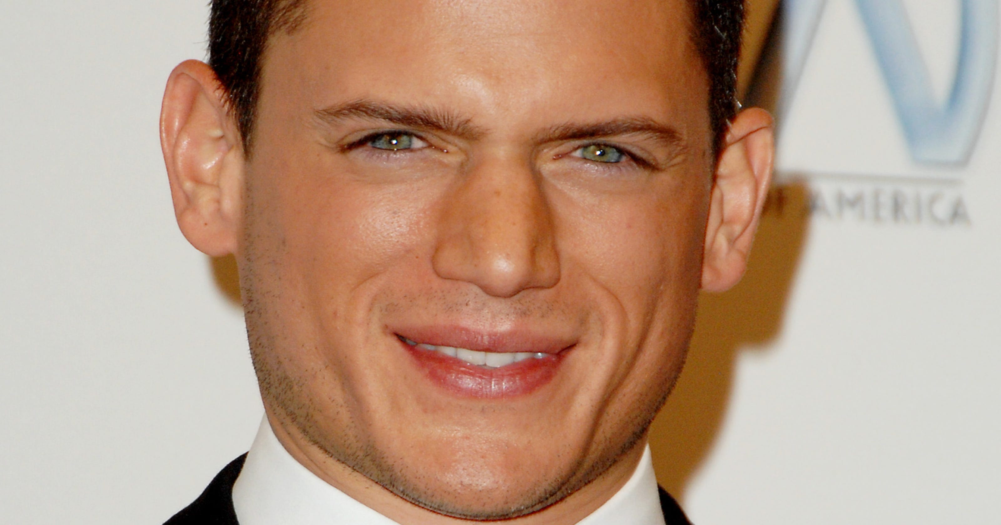 Wentworth Miller reveals that he's gay