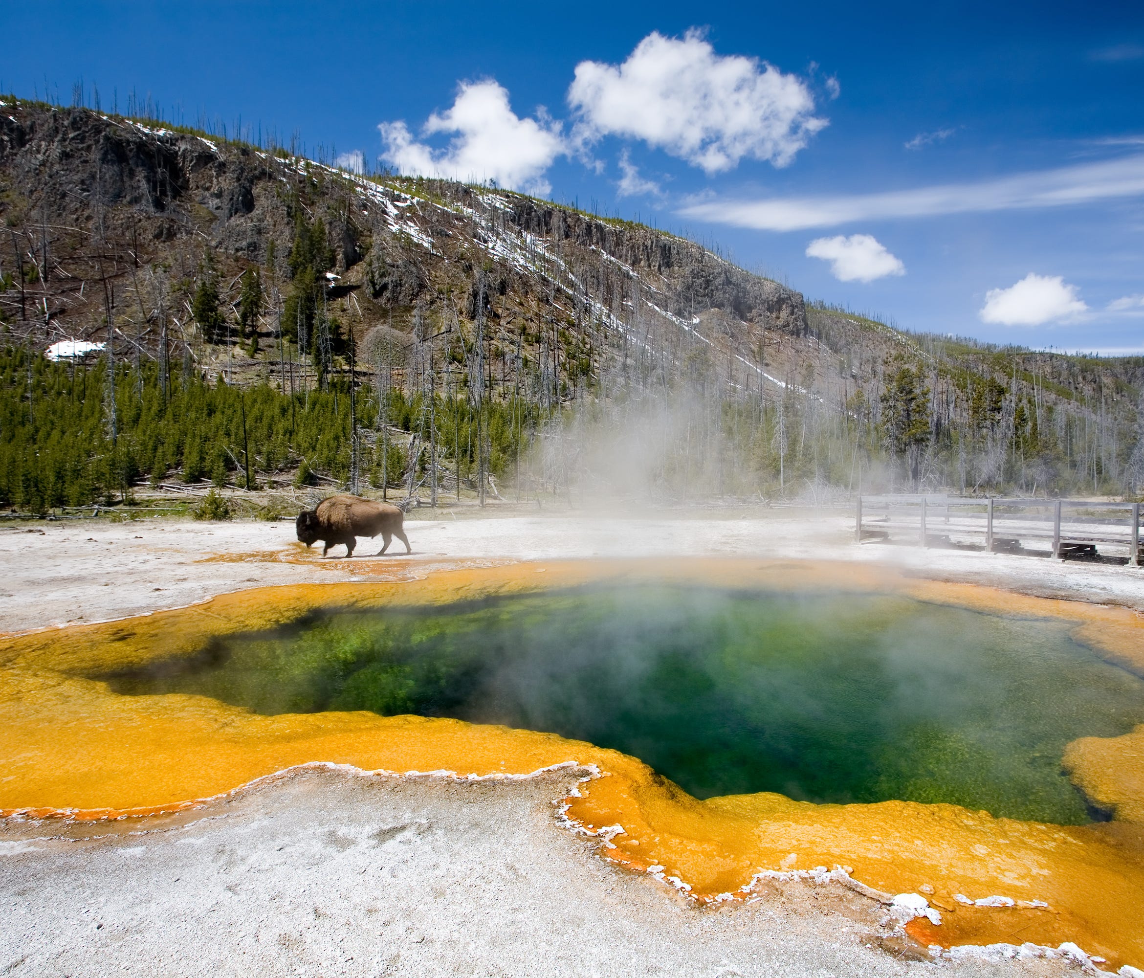 Experience bison, bears and the beauty of Yellowstone National Park: When Congress established Yellowstone as America's first national park in 1872, it was an idea that resonated the world over. Today this 3,500-square-mile public wilderness attracts