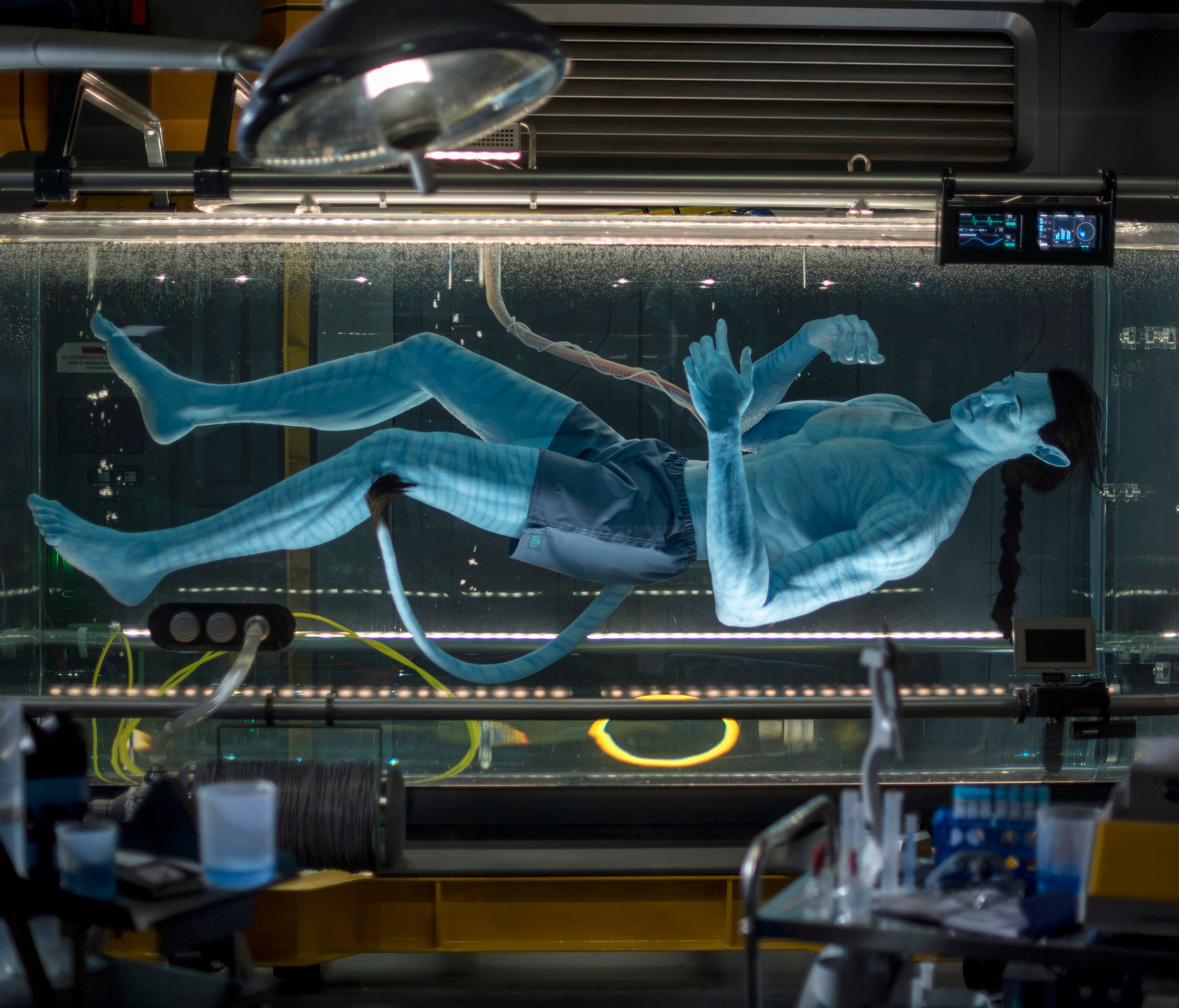Avatar Flight of Passage, a 3-D thrilling adventure set to open on Pandora Ð The World of Avatar at DisneyÕs Animal Kingdom, offers guests the chance to connect with an avatar and soar on a banshee over Pandora. The journey begins in the queue, as gu