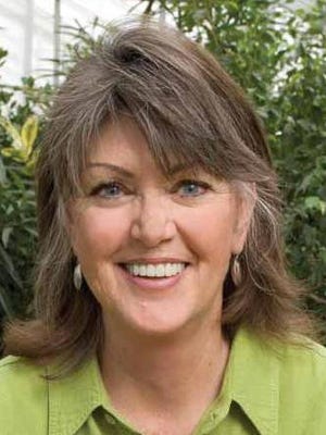 Gardening for You Winter hardy vegetation made it by with no injury