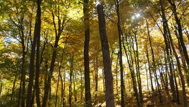 A Kid Friendly Hike At Holy Hill Holy Hill Hiking Trails