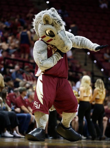 What is the FSU basketball mascot? A horse, of course