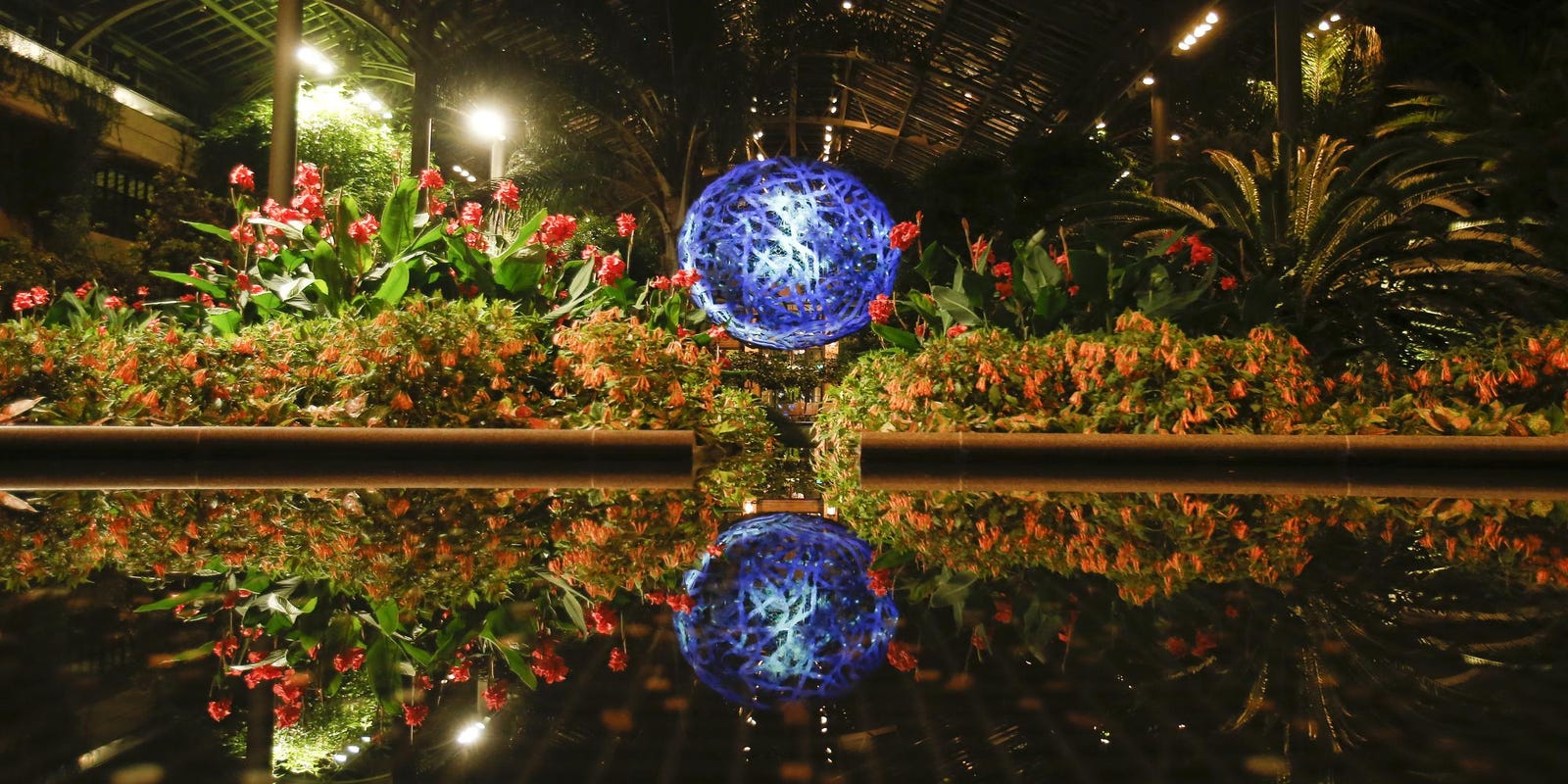 Longwood Gardens Lights Show Is A Don T Miss