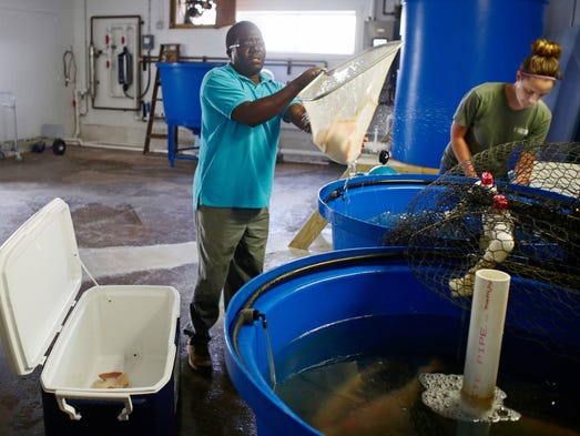Lakeland students building aquaponics facility in Malawi