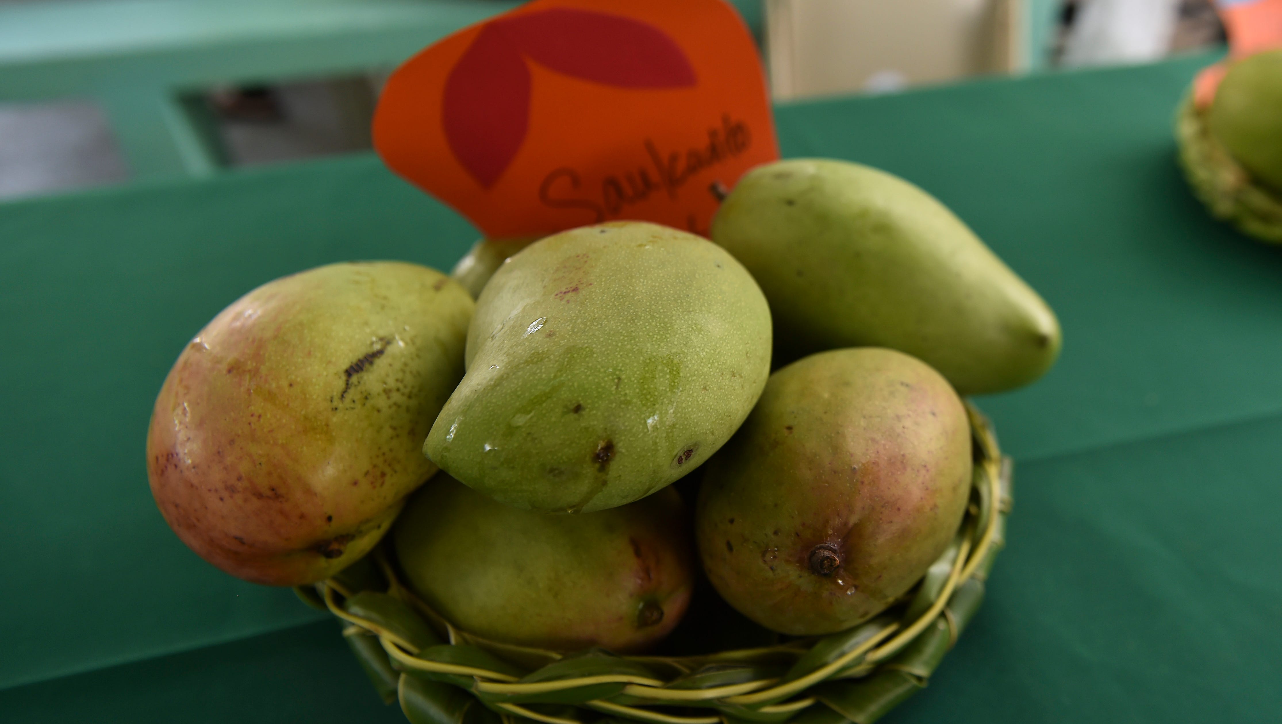 Agat Mango Festival schedule