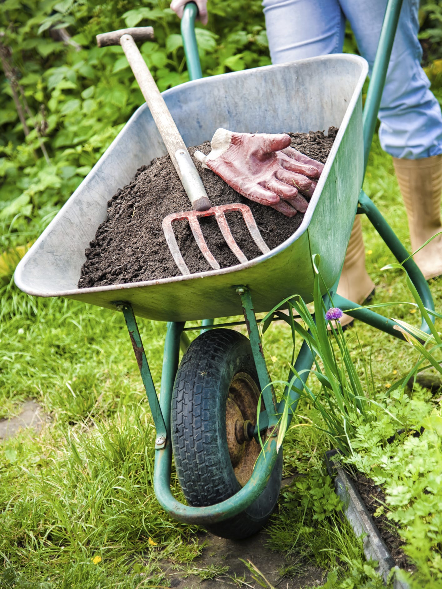 Spring Into Action In The Garden March Tasks Events Even if your garden is exposed to rain, that measure content performance. spring into action in the garden