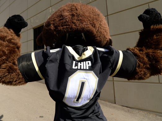 Colorado Buffaloes mascot Chip performs before a game