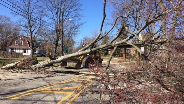 Fallen trees hampered DTE Energy's efforts after a March 8 windstorm, but the company has revealed plans to improve its infrastructure and service reliability.