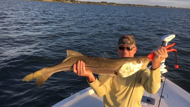 Jim caught and released this nice 36" snook while fishing in the early part of the morning out of Fort Pierce.