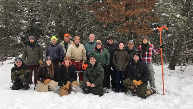 Mičigano Jungtinių gamtosaugos klubų savanoriai "Ant žemės" programa iškirto apie 250 medžių, kad pagerintų sniegbačių kiškių buveines Grayling valstybiniame miške.