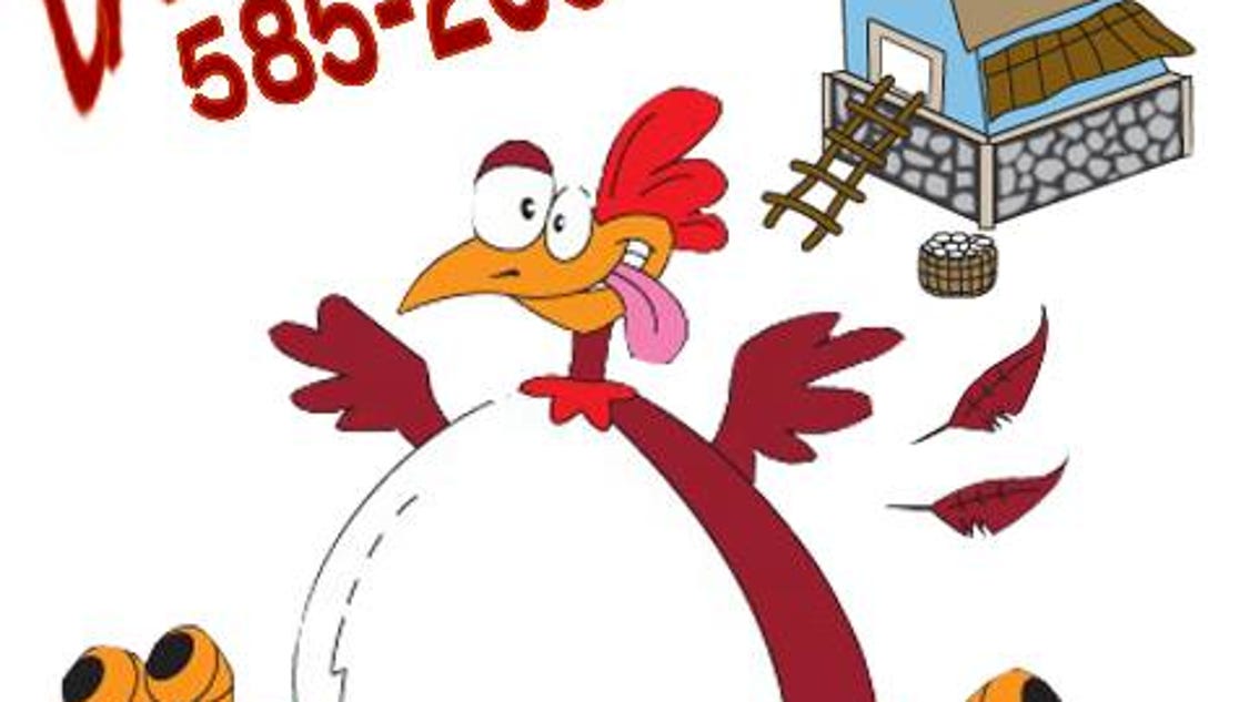 Chicken Coop celebrates 4 years Chicken Coop celebrates 4 years