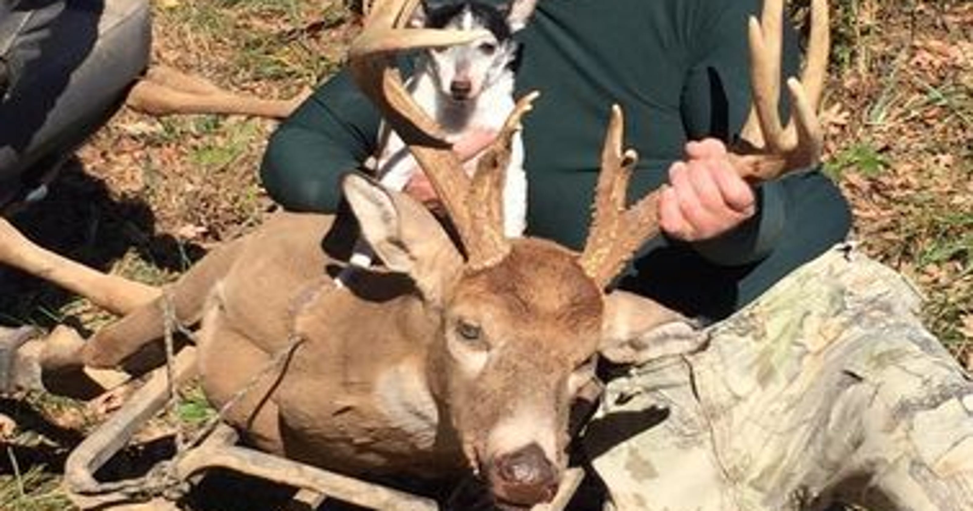 Tennessee deer hunting season opens Saturday Five things to know