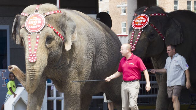 Circus elephants arrive in Phoenix
