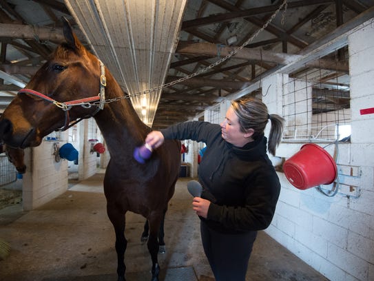 Nicole Hardy, of Foxborough, Massachusetts, brushes Geremel Hanover, a standardbred horse, before heading out for an exercise session at Track View Farm in Hartly. Hardy is the girlfriend of Steven Nason, owner of Nason Racin.