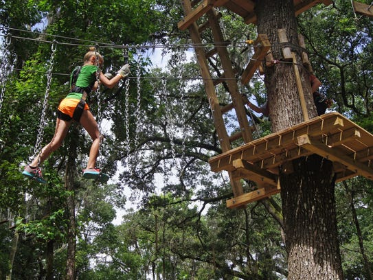 Walk, crawl, climb and zip through the forest at TreeHoppers