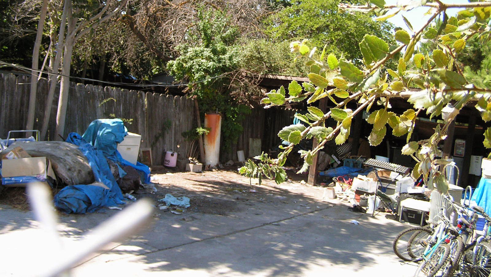 Bone Fragments On Garrido Land Likely Animal