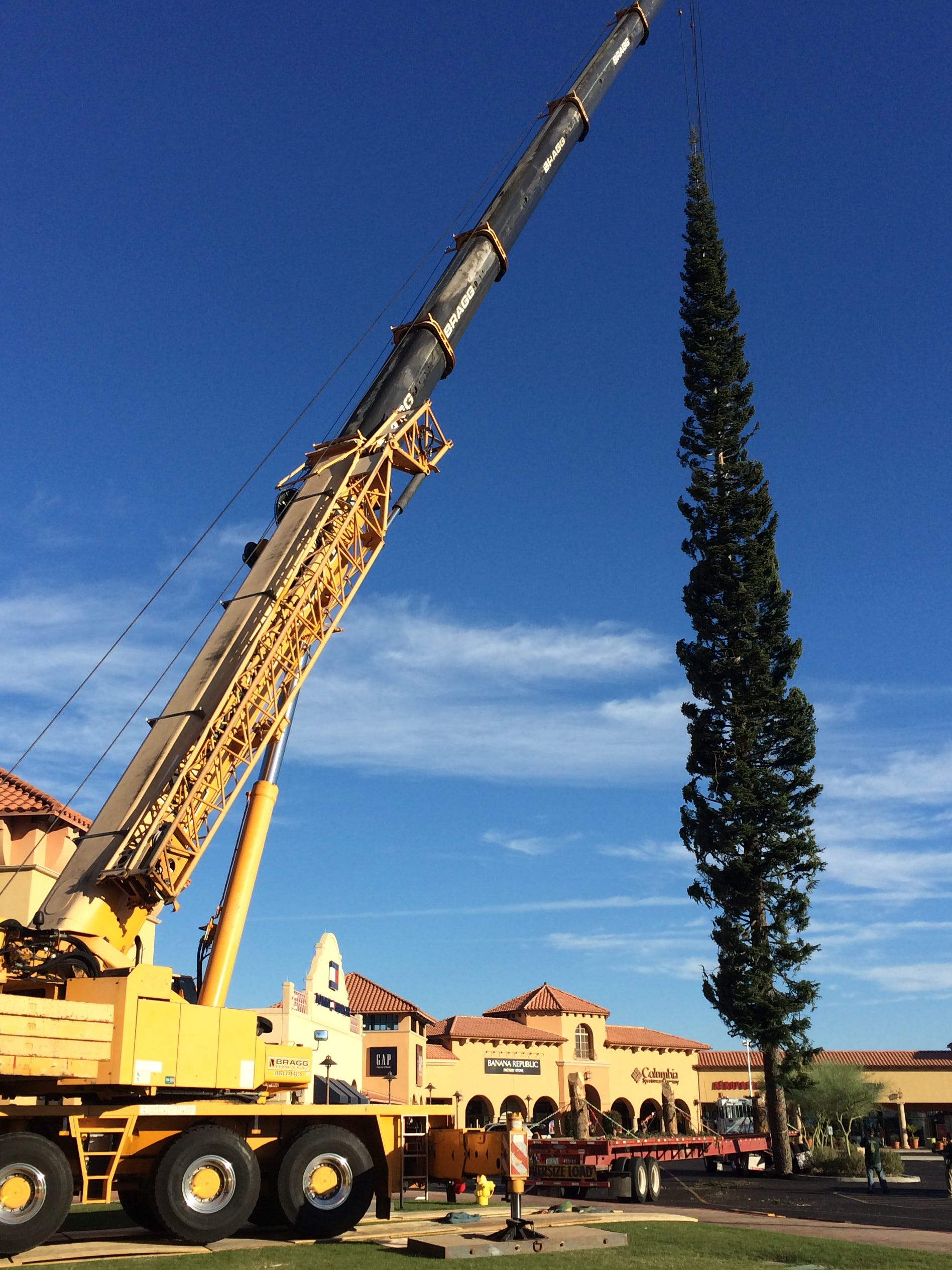 Anthem Outlets Christmas Tree 2022 Valley 101: Why Is Arizona's Largest Christmas Tree At An Outlet Mall?
