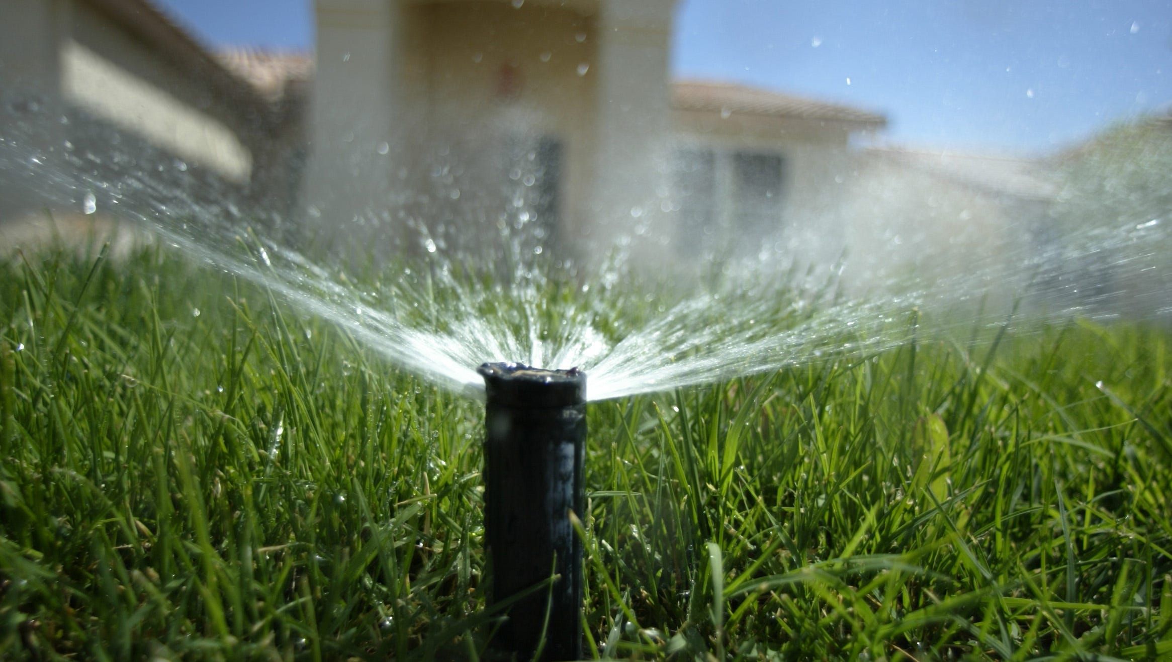 Letter Winter Lawns Are Killing Water Conservation