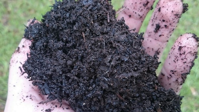 Organic matter is the "glue" that will hold your soil together.