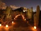 12/8-30: Las Noches de las Luminarias | Desert Botanical