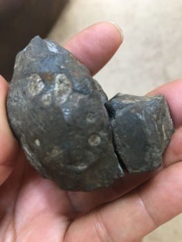Do meteorites have gold in them?