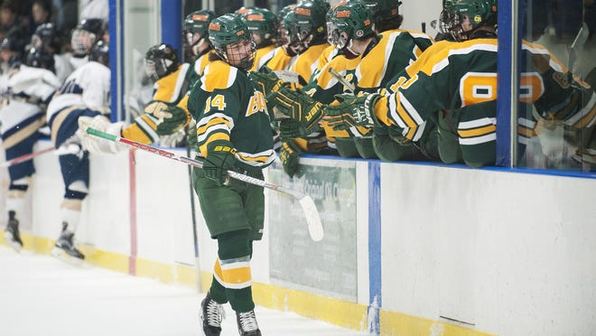BFA's Colby Brouillette (14) celebrates a goal with the bench during the boys hockey game between the BFA St. Albans Bobwhites and the Essex Hornets last year.